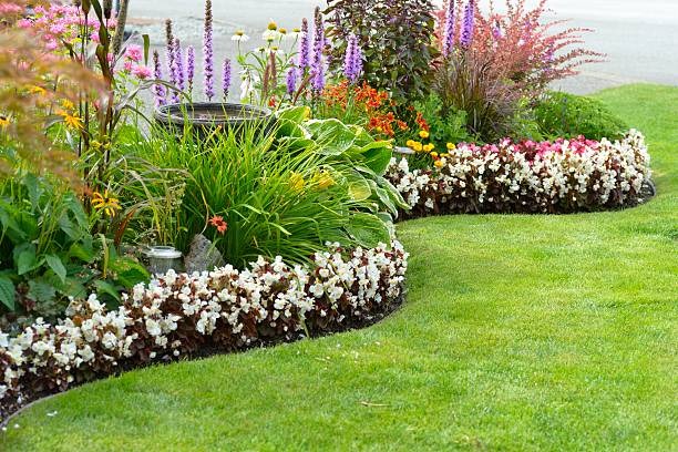 Easy Landscaping Ideas for Low-Maintenance Lawns